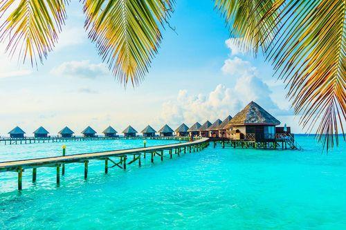 7 Days in MALDIVES    ALL INCLUSIVE